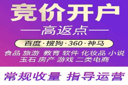 SEM运营公司经典案例点评